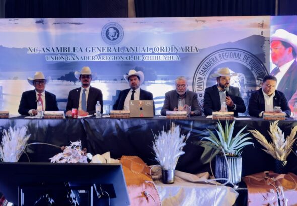 b9fed3eb-2a25-47c9-82b6-b5ce446f5f96