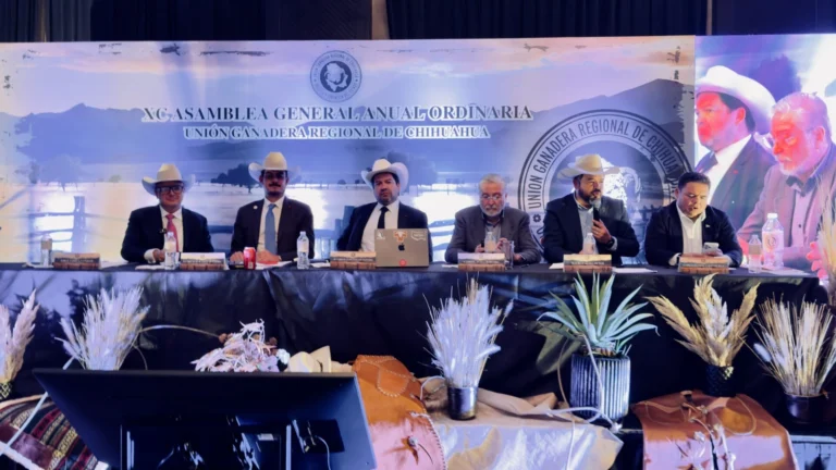 b9fed3eb-2a25-47c9-82b6-b5ce446f5f96