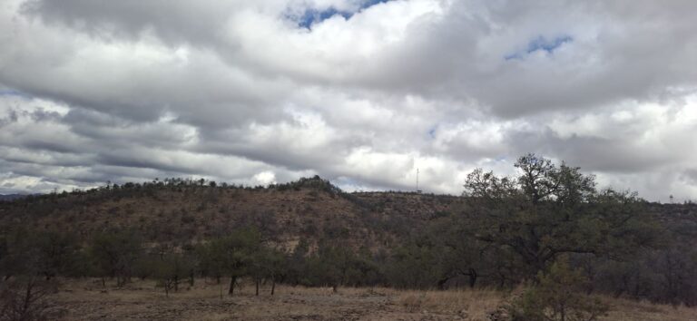 c49a86e1-15dd-4e4c-a937-a1eef72c52a3