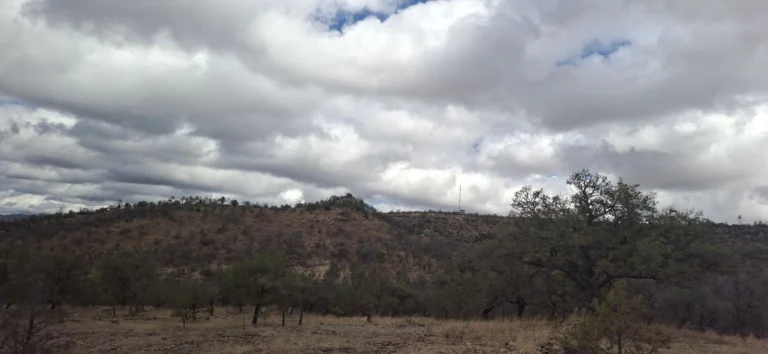 c49a86e1-15dd-4e4c-a937-a1eef72c52a3