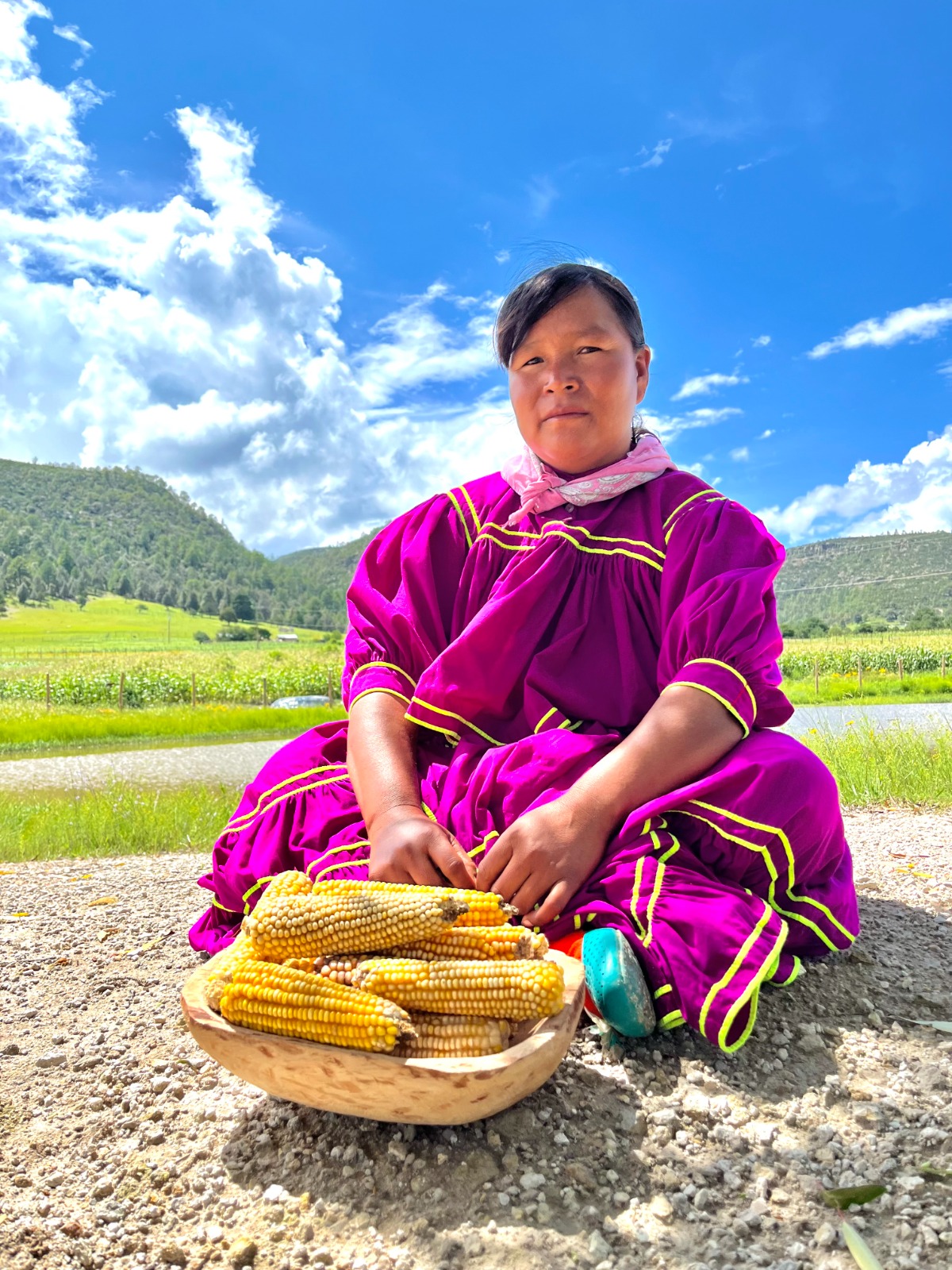 c8e769e7-cdee-4b70-9eef-800cd333e912