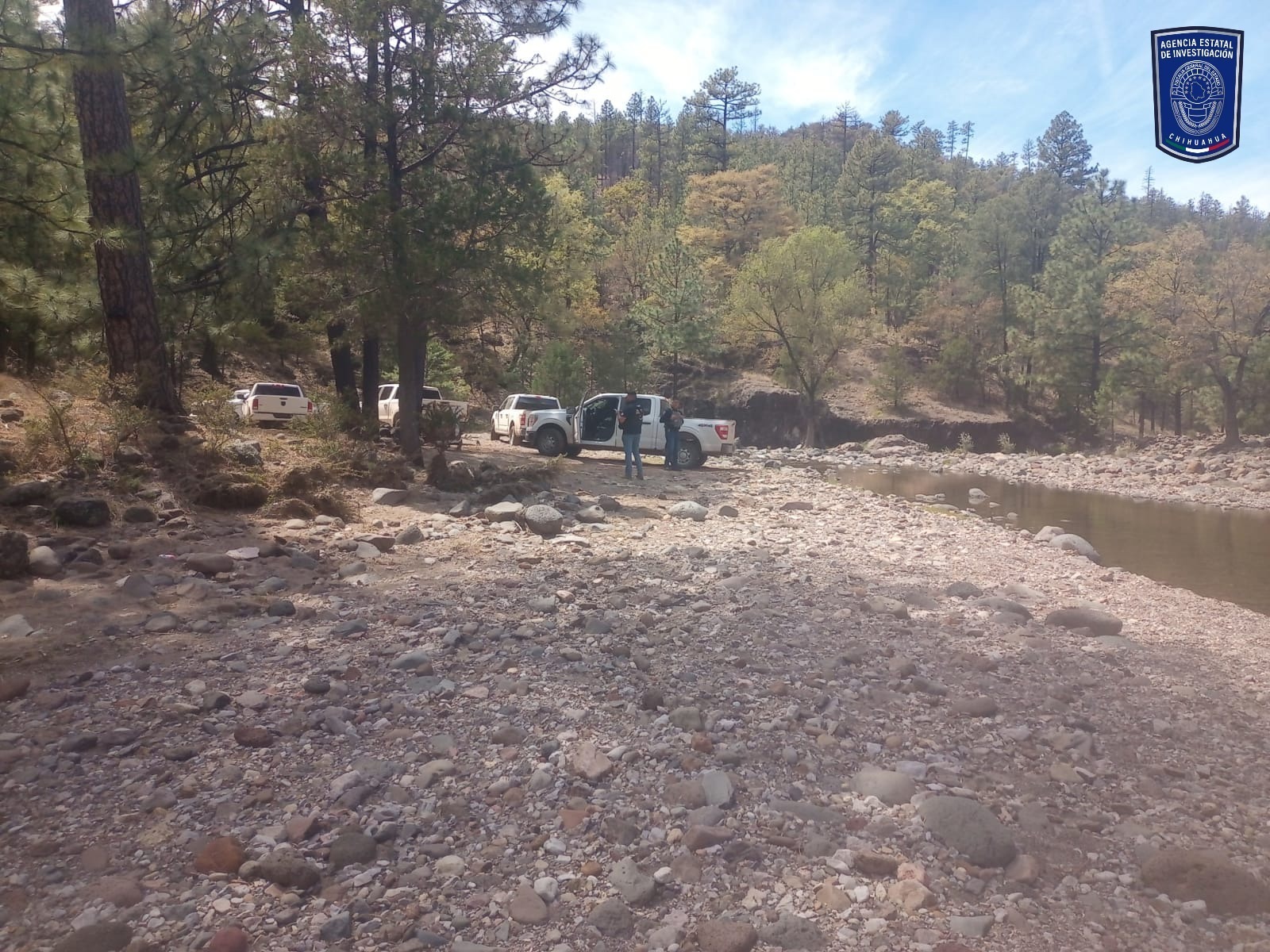 cb620813-2c73-4bf9-a626-e1d4d40f7066