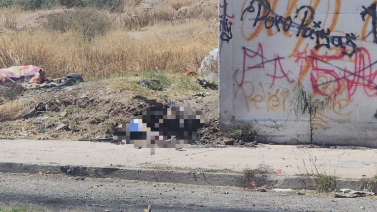 d665d479-8fab-4fe3-8373-913b99c430ec