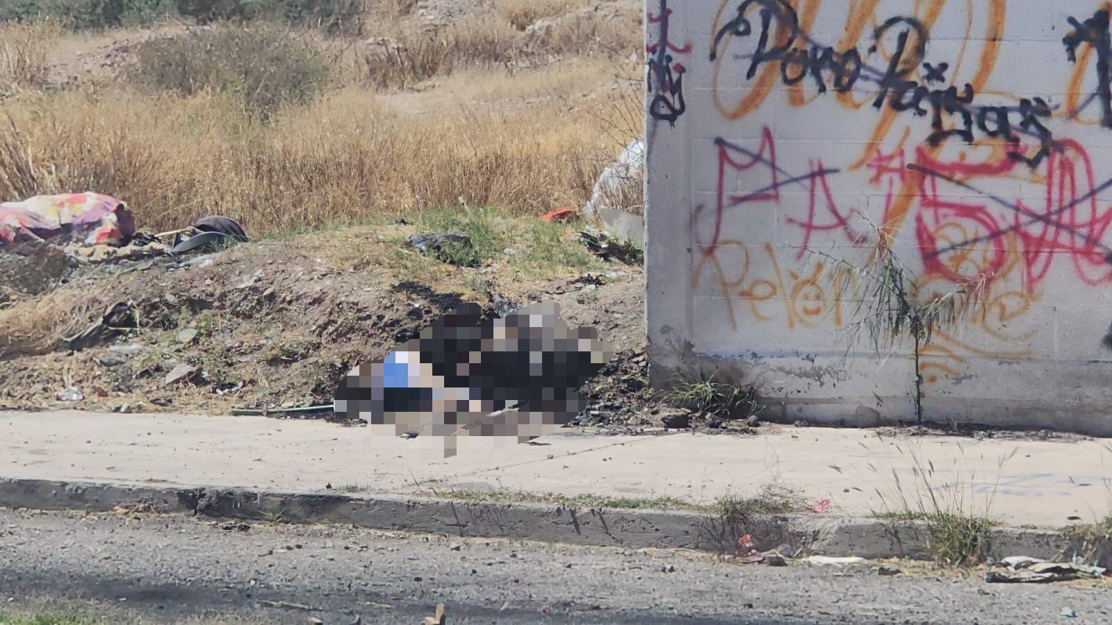 d665d479-8fab-4fe3-8373-913b99c430ec