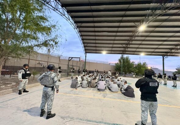 dc600eed-68d8-4e2a-99b1-840617df8a6f