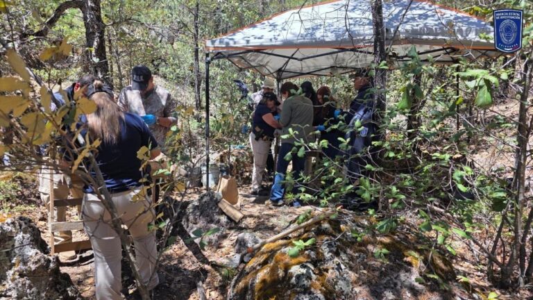 e16635bd-3d9d-4e23-a0c2-cf307cba1fdf