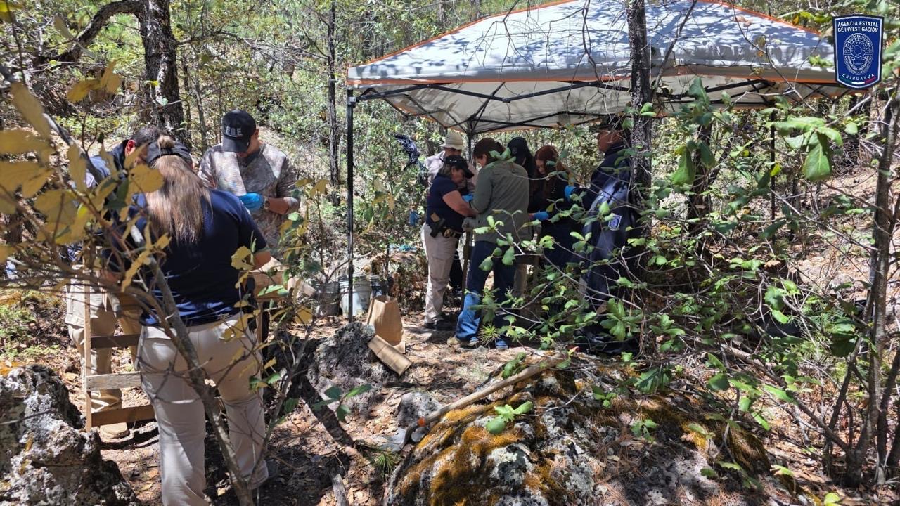 e16635bd-3d9d-4e23-a0c2-cf307cba1fdf