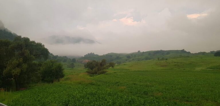 e557a7ac-59a1-4c6a-be32-28dd8268ad5c