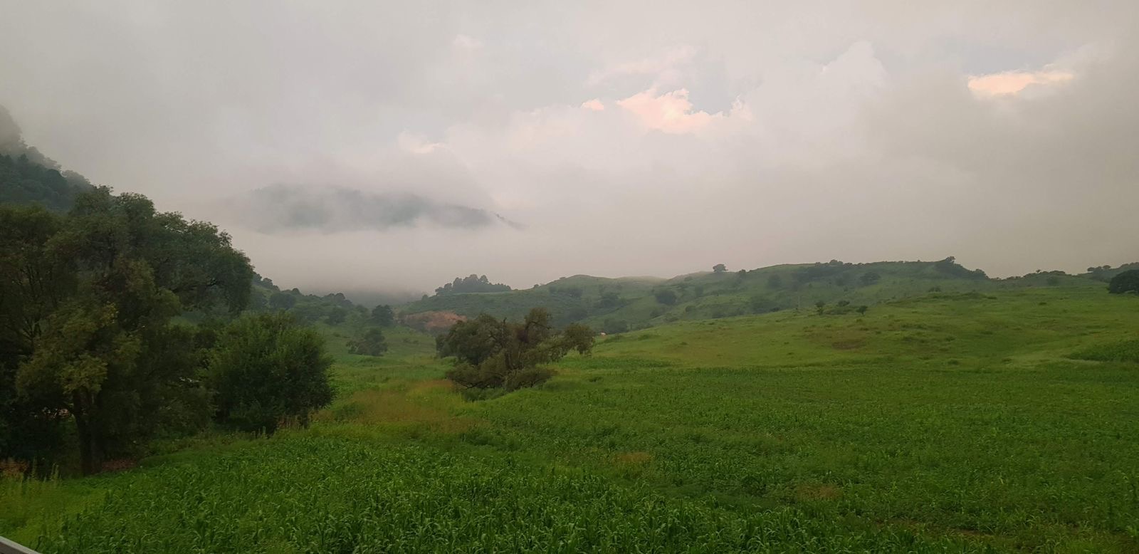 e557a7ac-59a1-4c6a-be32-28dd8268ad5c