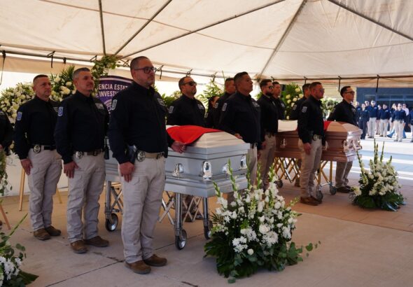 fdd8af08-0933-42ff-8c41-3ecd9d30241a