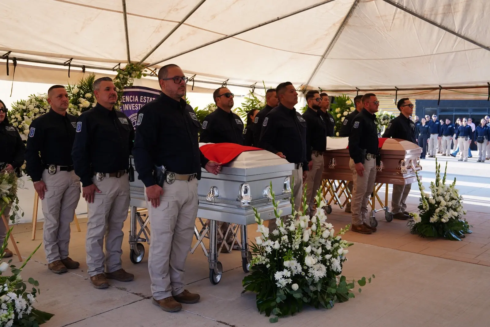 fdd8af08-0933-42ff-8c41-3ecd9d30241a