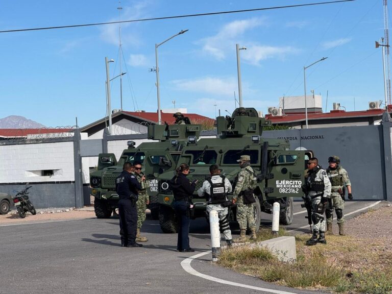 fe8c7c25-bee2-4445-a862-b7f6de647aee