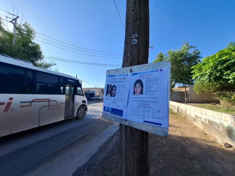 98c62c92-42c1-40f1-9e14-e8cc9acdaba0