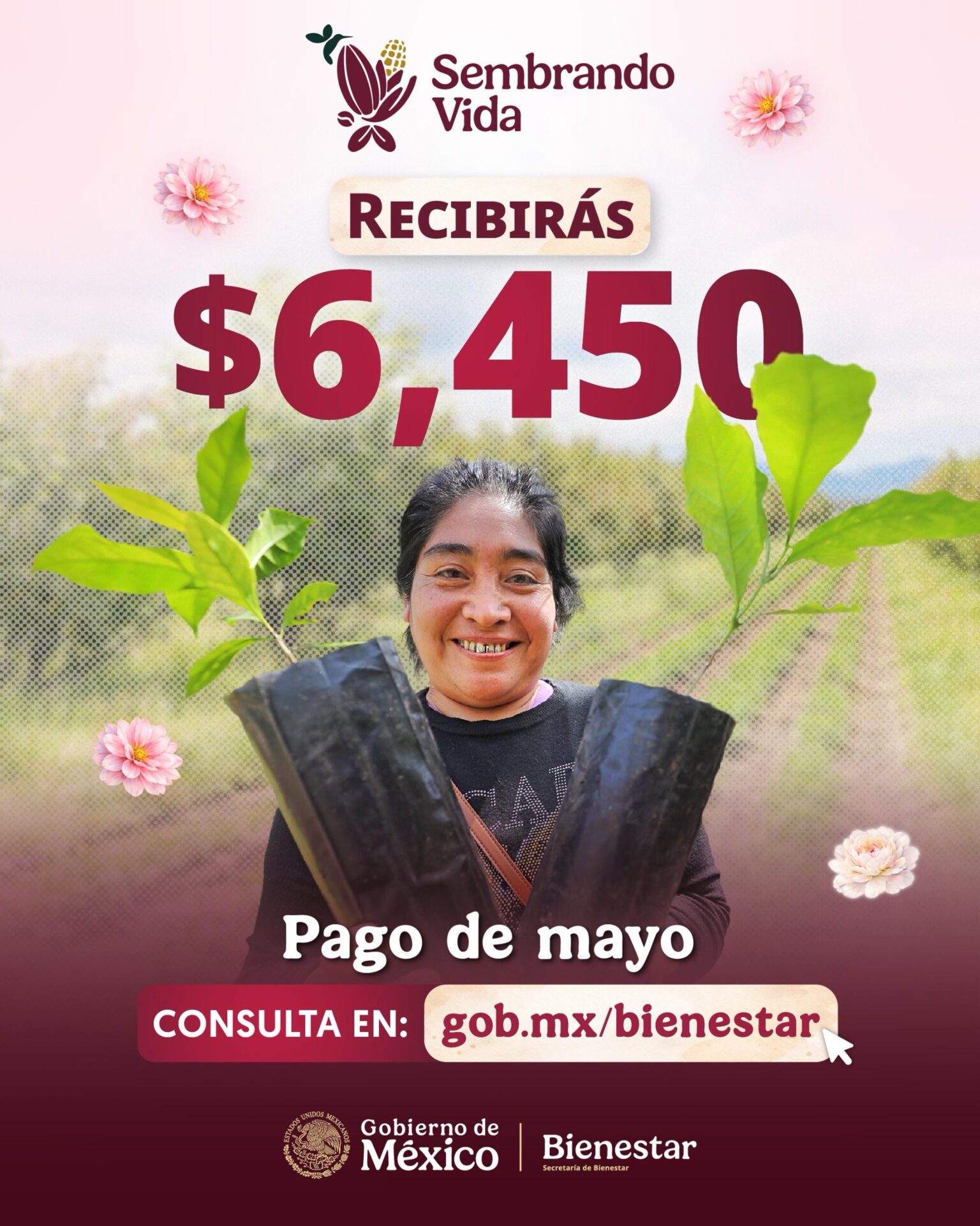 3c0e9fb7-8fe5-4a0a-a030-27581fdf1d7c