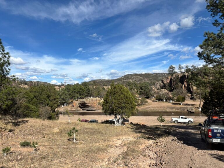 IMG_8464
