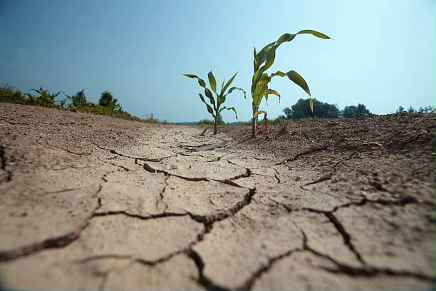 5deda119-0794-475a-9caa-e172902d86a5