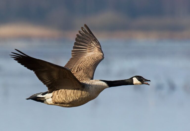 IMG_0357