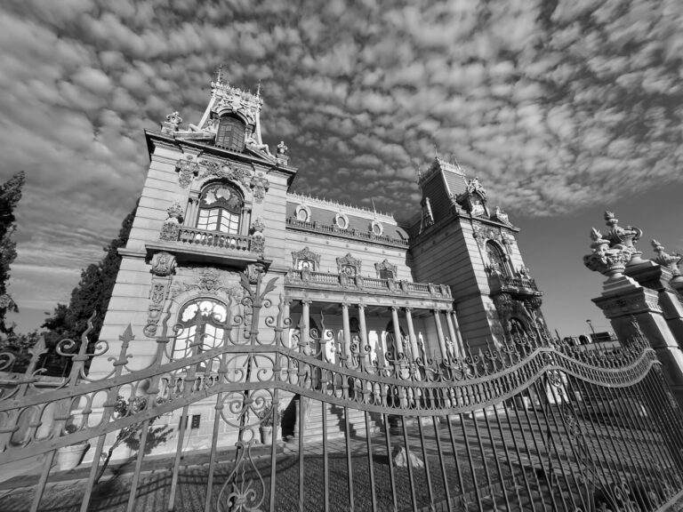 IMG_6090