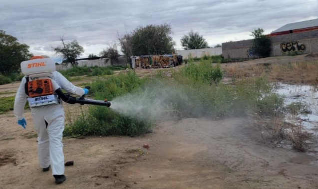 Juarez 121