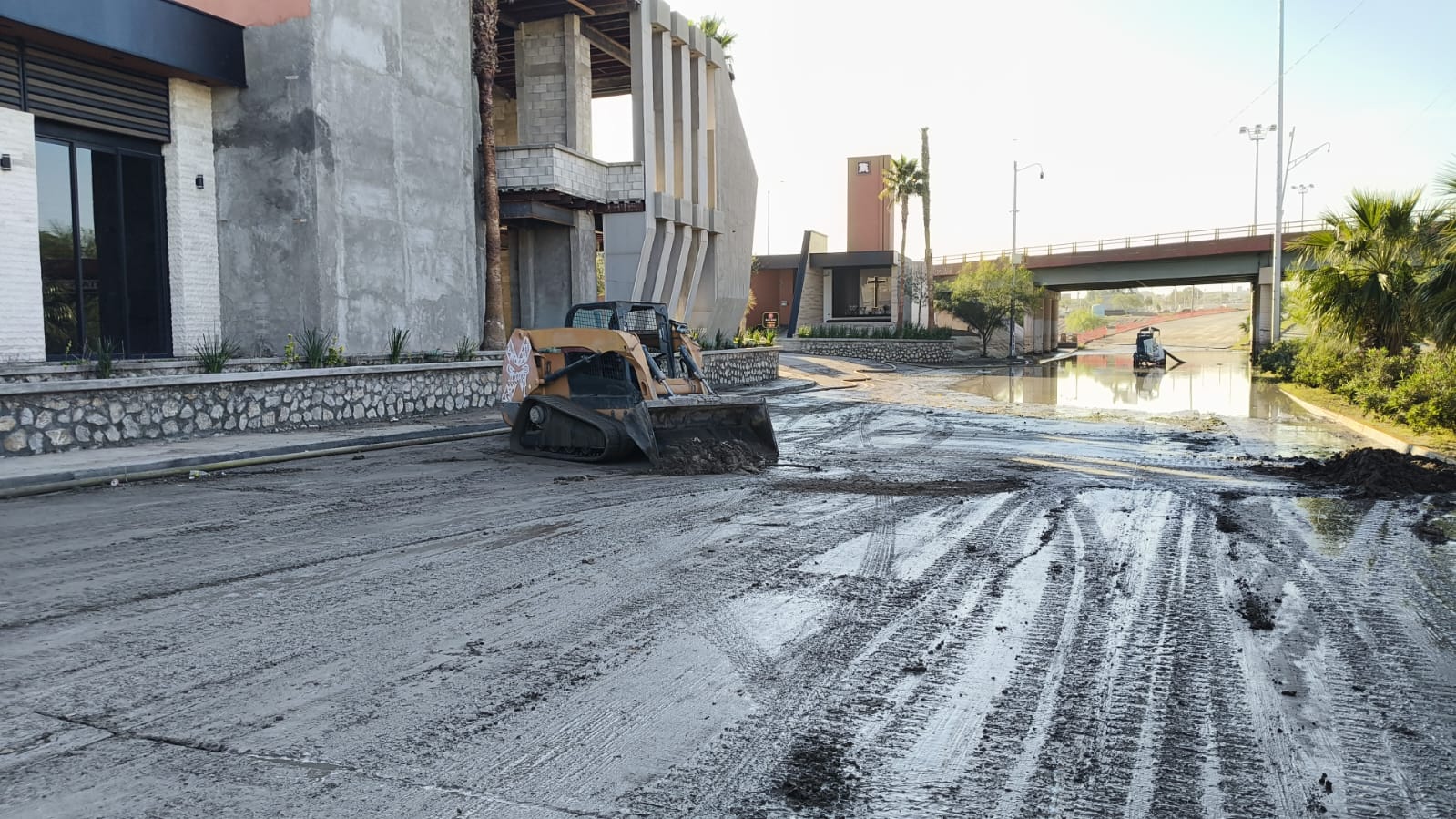 Juarez 132