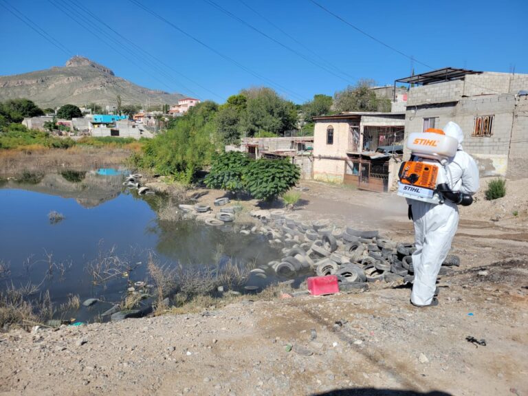 Juarez 15