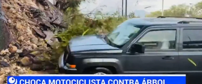 atropellan-reportera